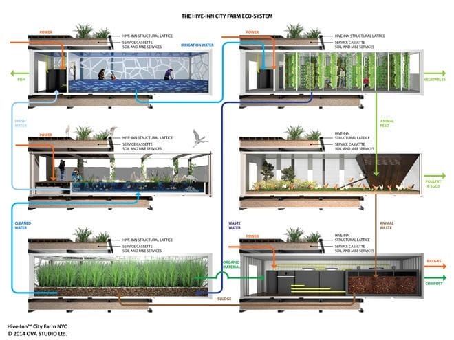 HIVE-INN-CITY-FARM-NYC