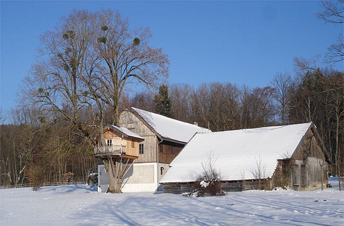 baumhaus-starnberg-1