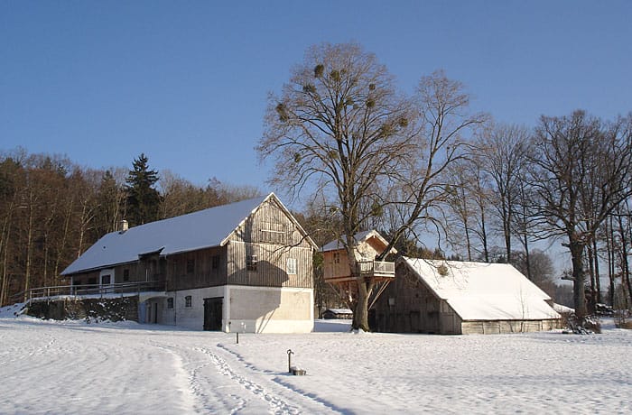 baumhaus-starnberg-2
