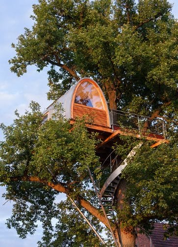 baumraum-around-the-oak