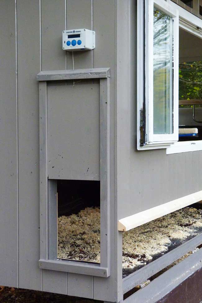 chickenguard-huehnerklappe