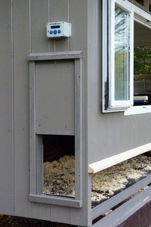 huehnerklappe-vertikal