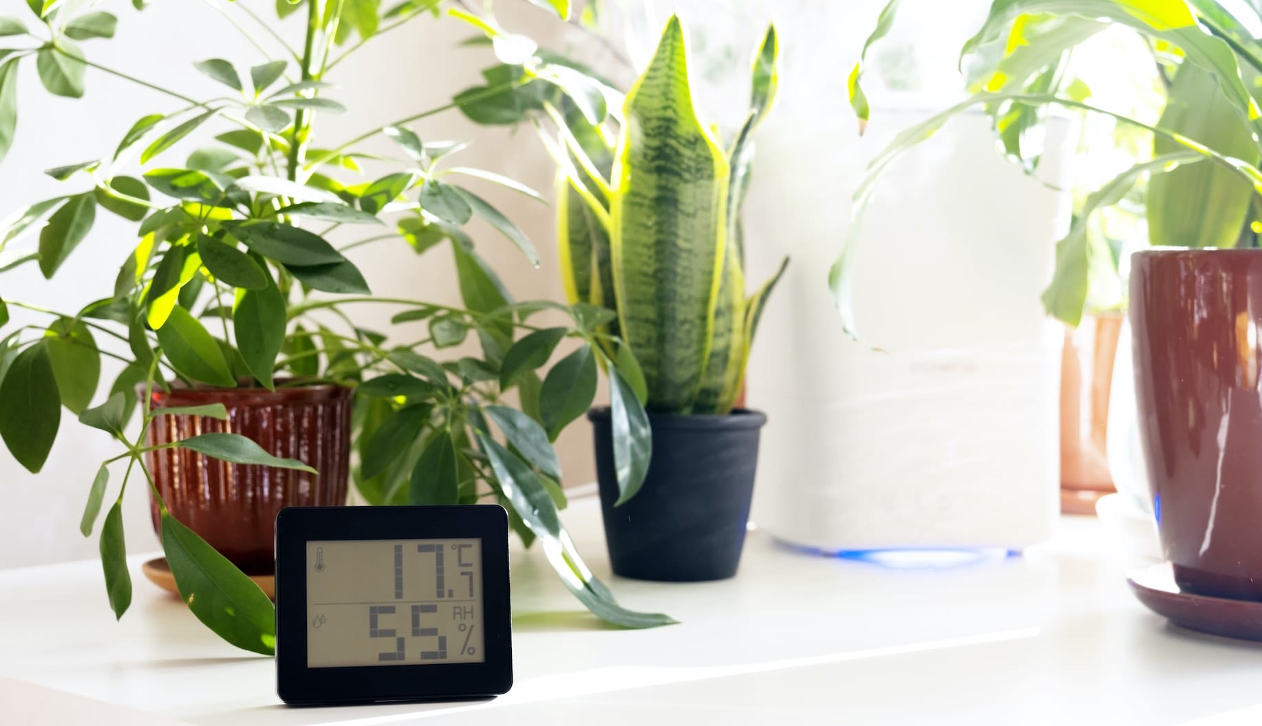 Hygrometer im Minihaus